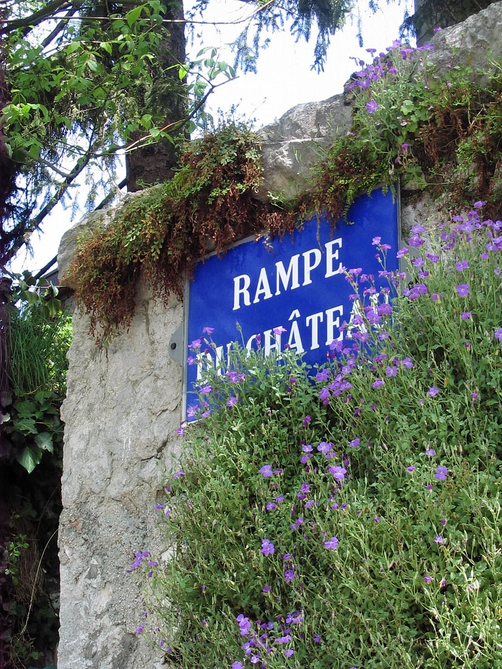 Flowers road shield