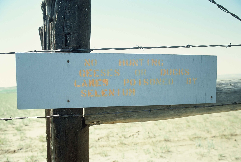 Barbed Wire close lakes