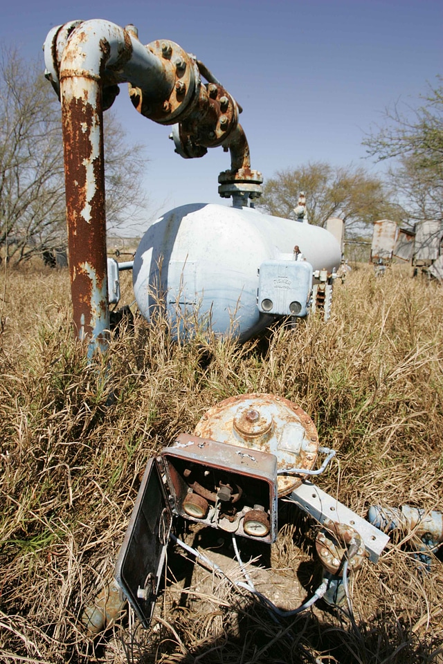 Fine gas well grass plants