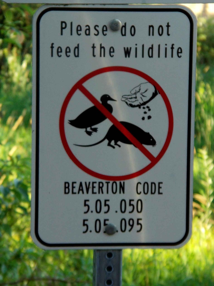 Feed nature shield