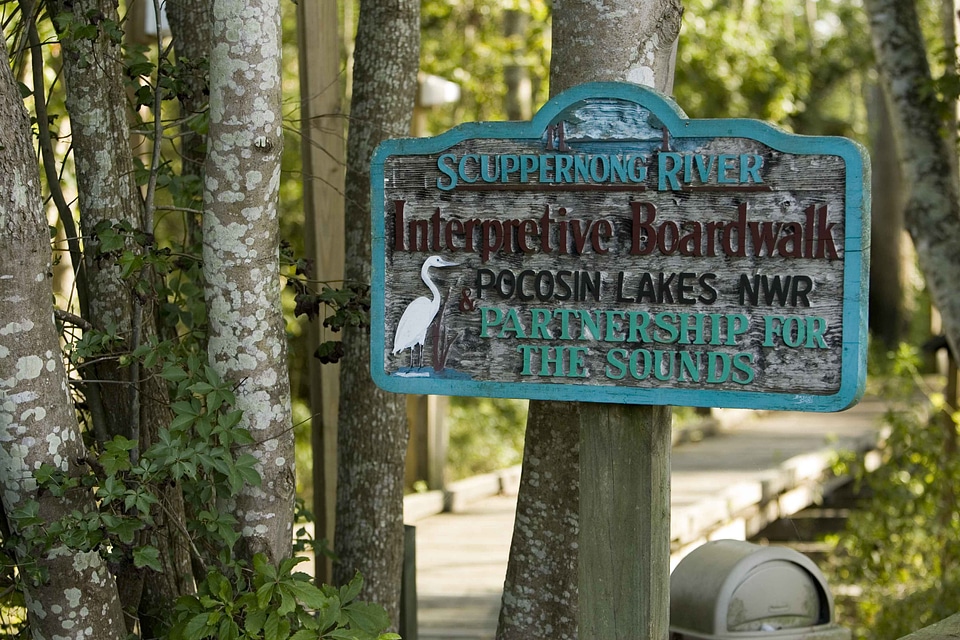 Association boardwalk lakes