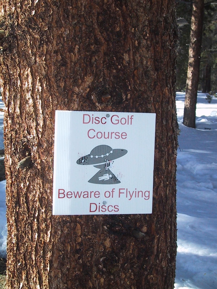 Disk golf shield