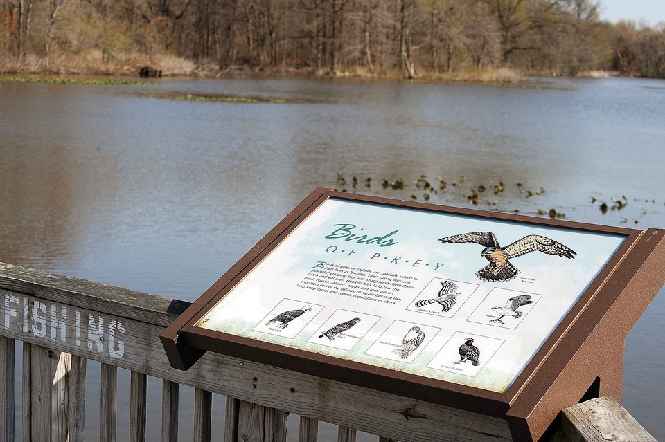 Bird shield signage