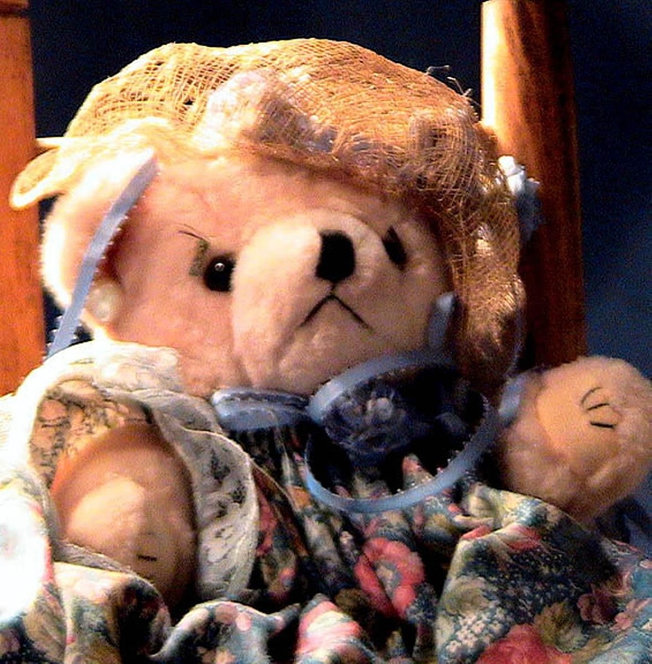 Ancient bear teddy bear toy