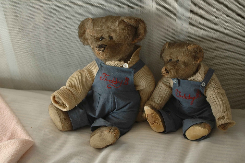 Bear collection teddy bear toy