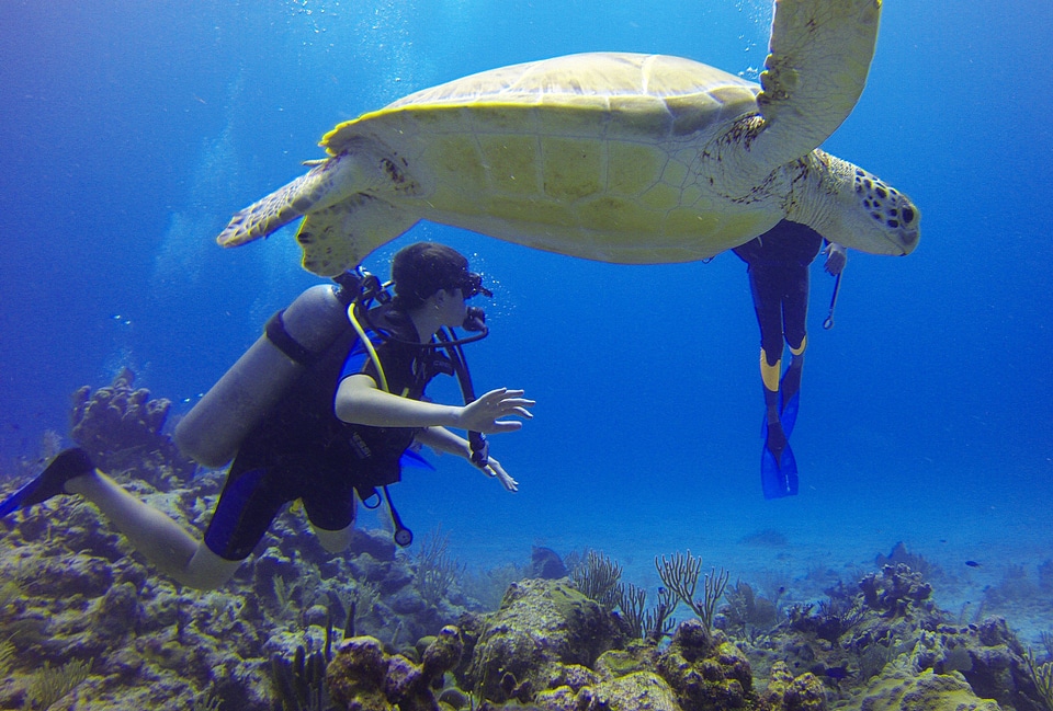 Scuba diving sea bottles