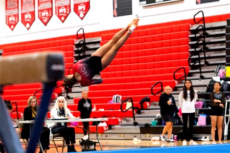 Gymnastics-2596