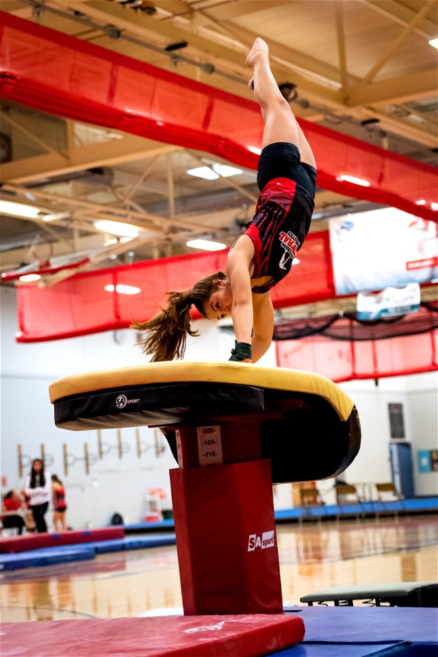 Gymnastics-2336