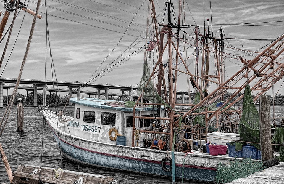 Harbor ship fishing