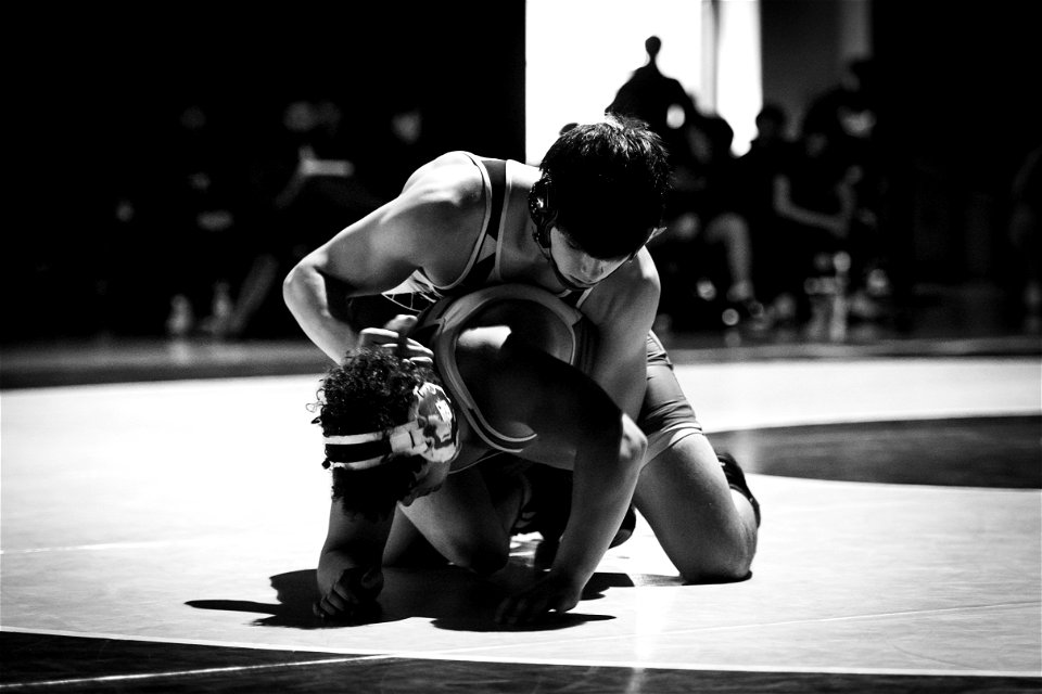 HC vs North-3917