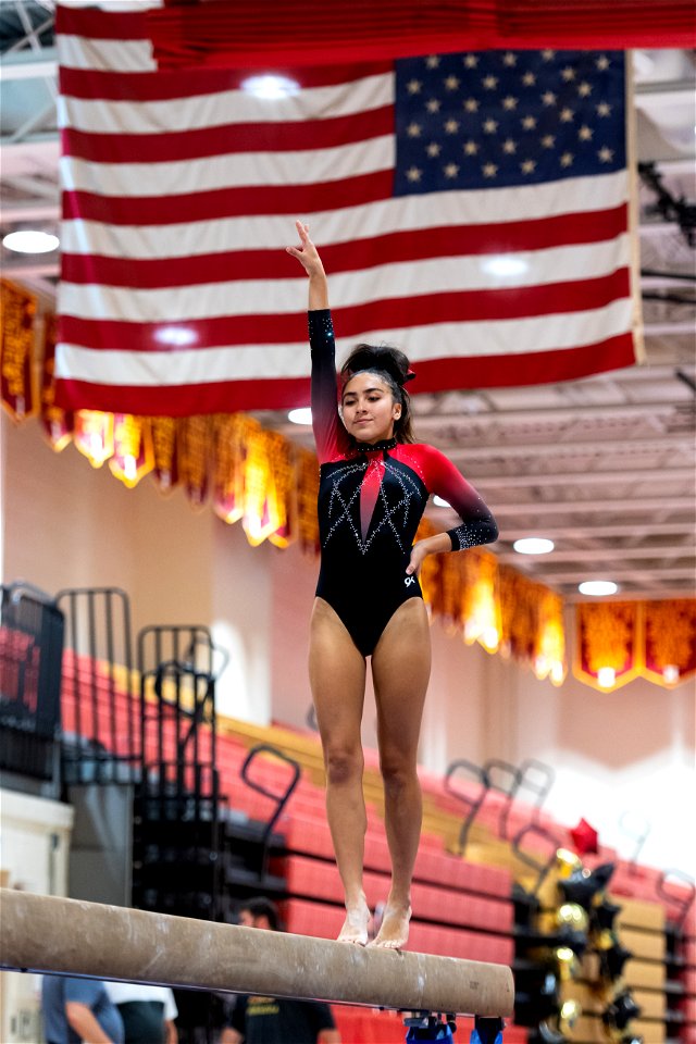 Sectional Finals-7002