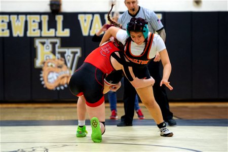 Hopewell Jamboree-0508