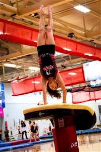 Gymnastics-2315