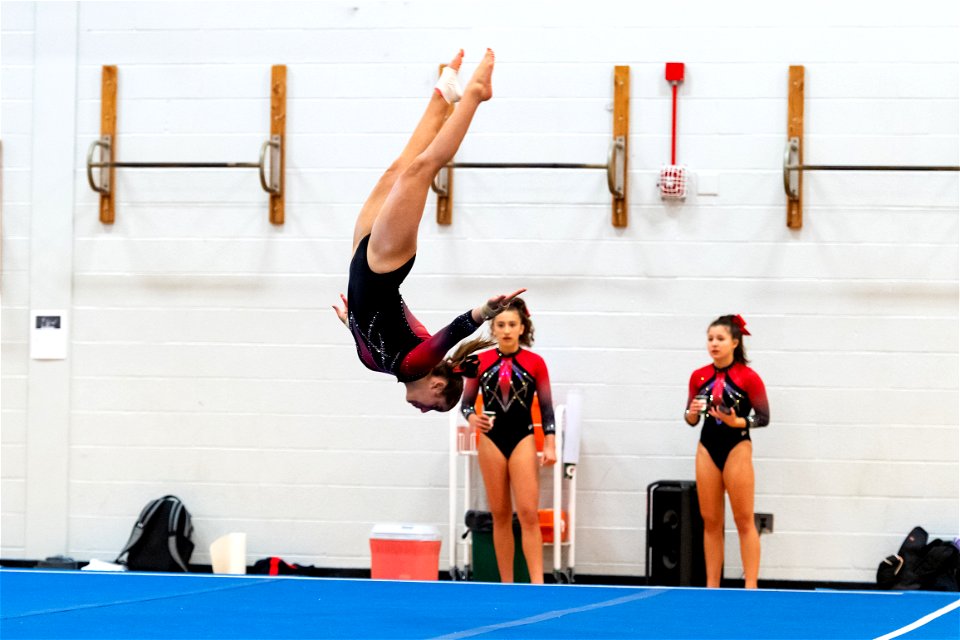 Gymnastics-2586