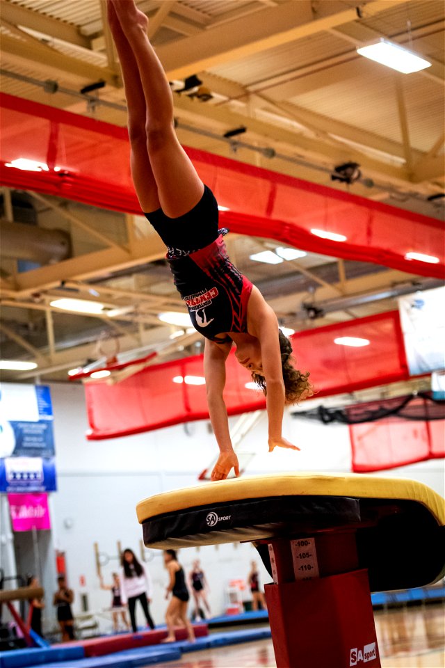 Gymnastics-2316