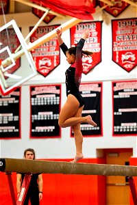 Gymnastics-6771