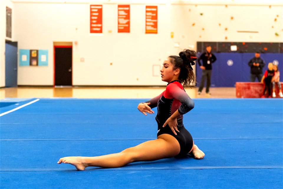 Gymnastics-2509