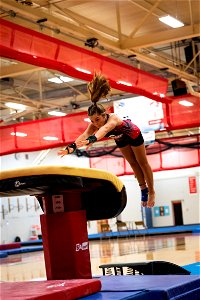Gymnastics-2334