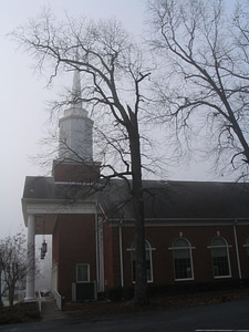 Church tree 