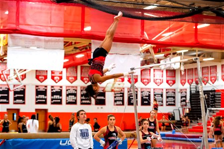 Gymnastics-2104