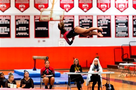 Gymnastics-2530