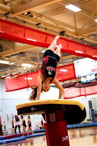 Gymnastics-2314