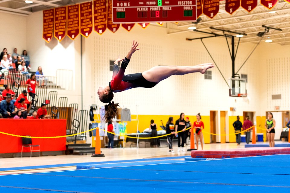 Sectional Finals-7303