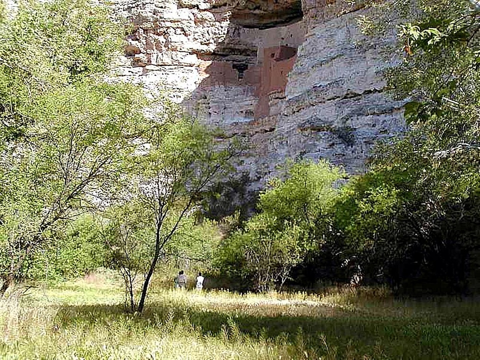Castle cliff grass plants