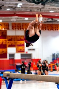 Sectional Finals-6919