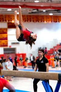 Sectional Finals-6934