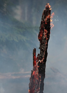 Burning for conservation hot smoke photo