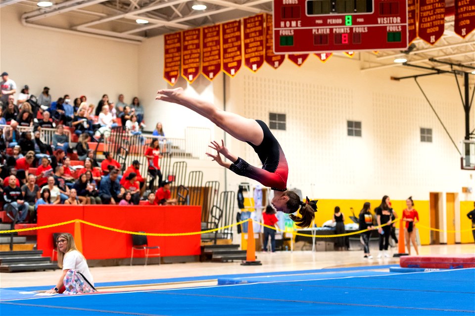 Sectional Finals-7305