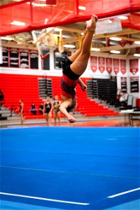 Gymnastics-2272
