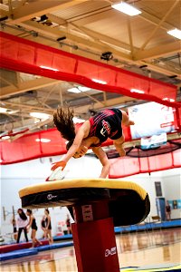 Gymnastics-2313