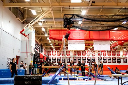 Gymnastics-2452