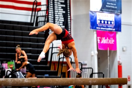Gymnastics-2202