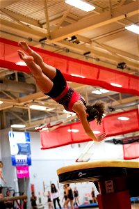 Gymnastics-2317