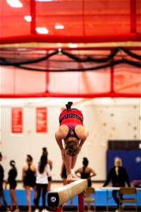 Gymnastics-2187