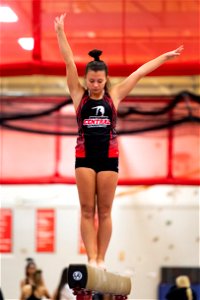 Gymnastics-2194