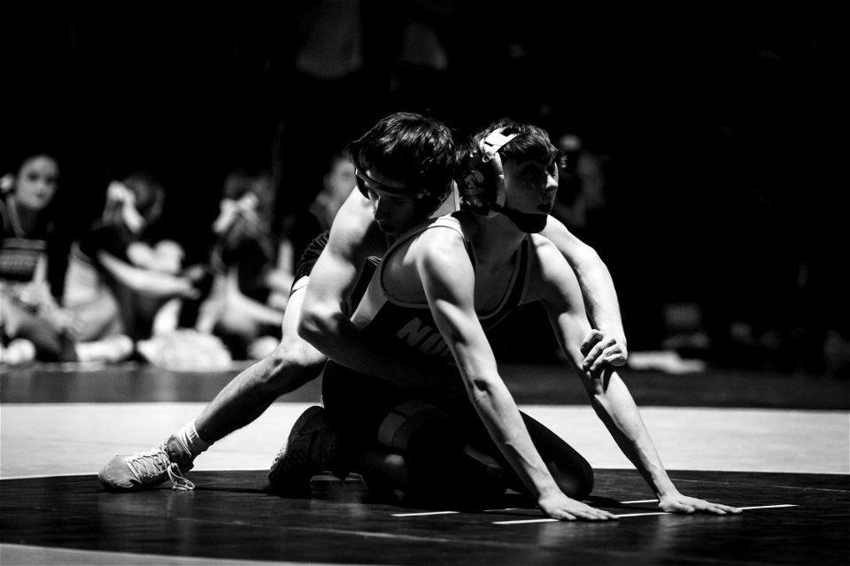HC vs North-4028