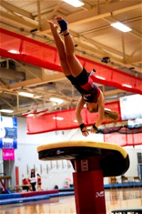 Gymnastics-2338