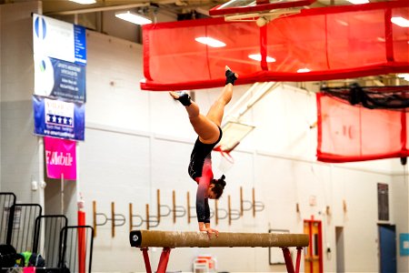 Gymnastics-2411