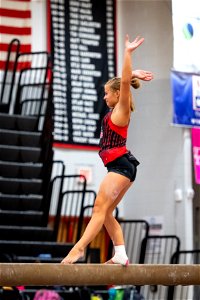 Gymnastics-2213