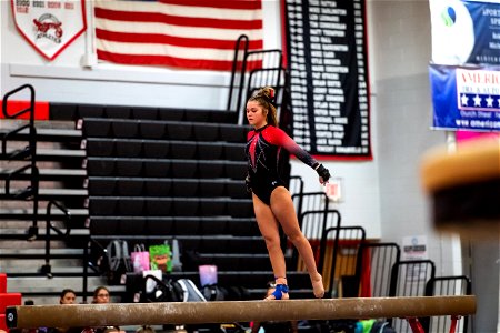 Gymnastics-2402
