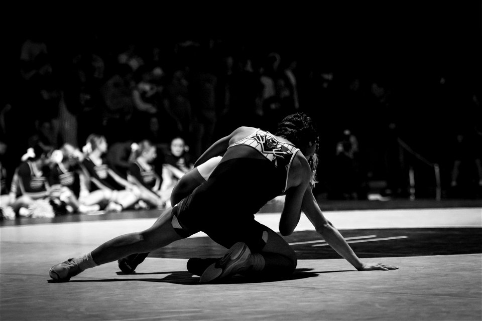 HC vs North-4163
