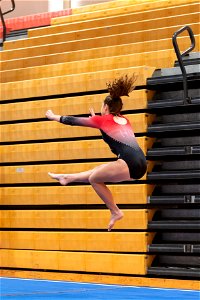 Sectional Finals-7354