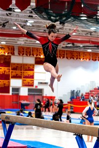 Sectional Finals-6911