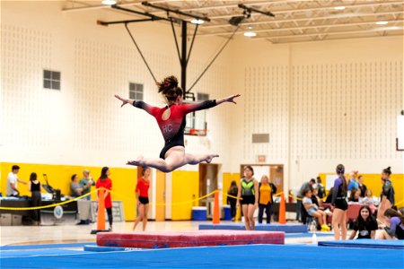 Sectional Finals-7313