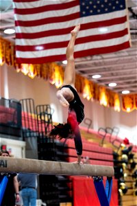 Sectional Finals-7008