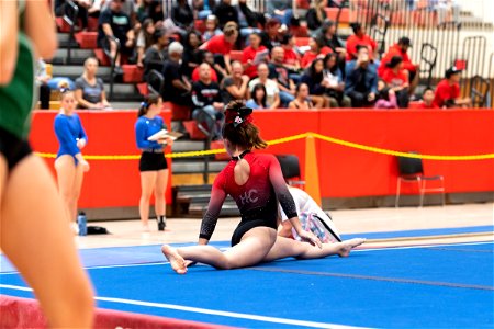 Sectional Finals-7310